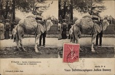 Stereo Ak Paris, Jardin d'Acclimatation, voyage sur le Chameau - 3686742