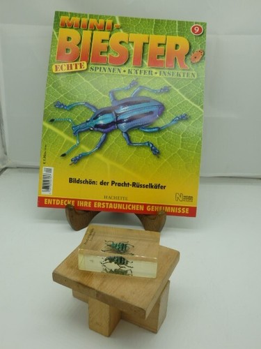 Mini biester heft - biester,