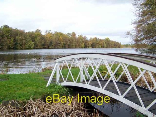 Foto 6x4 frensham großer - 6x4,