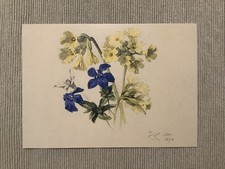 1 Postkarte, Pflanzenstudien