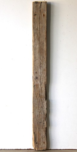 Treibholz schwemmholz - treibholz,