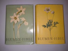 🪻🌷 2 x Buch Blumen Fibel
