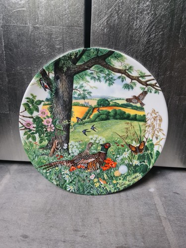 Wedgwood sammelteller colin - wedgwood,