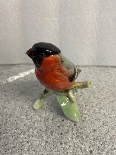 Goebel dompfaff bullfinch - goebel,