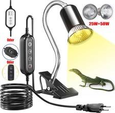 Schildkröten Wärmelampe