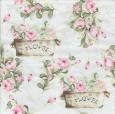 3 Servietten ~ Peony Pfingstrose im Topf rosa Blumen Frühling