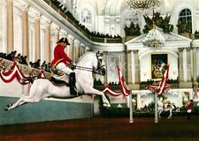 Wien Spanische Hofreitschule gerittene Capriole Lippizaner Pferd
