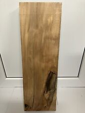 1xBuche Bohle Gestockt Gerissen, Ästig Baumscheibe, Epoxid, NEU f Bastler! A017