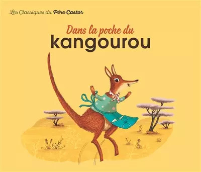 Dans poche kangourou - poche, du