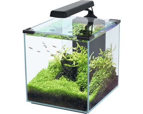 Aquarium aquatlantis nano - aquarium,