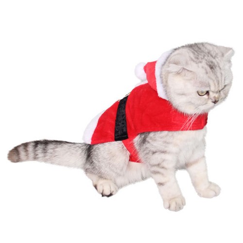 Haustier kostüm weihnachten - haustier,