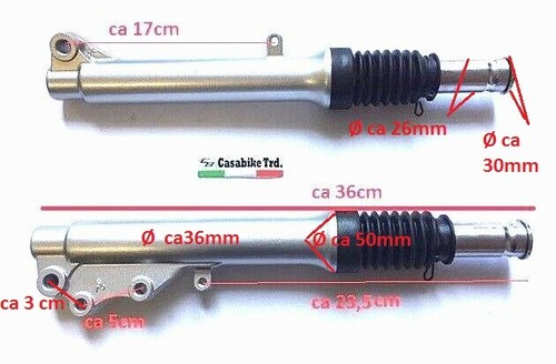 Stossdämpfer vorne - 2, x