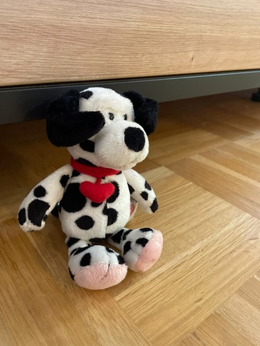 Nici dalmatiner hund love - hund,