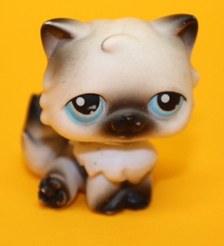 Hasbro littlest pet - shop, katze