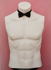 EURO DISPLAY Torso Mann headless Schaufensterpuppe Mannequin Schaufensterfigur 1
