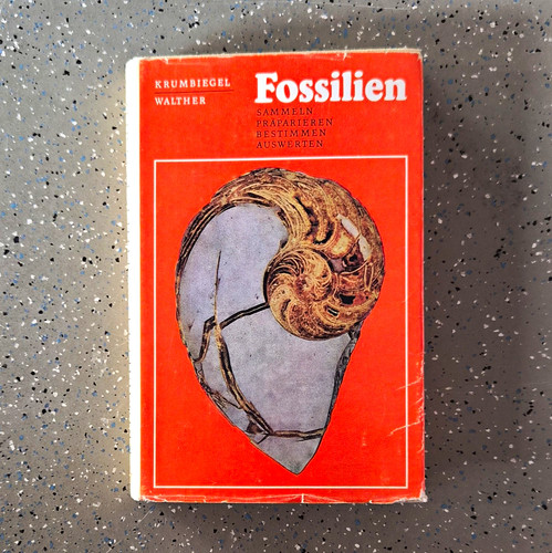 Krumbiegel fossilien - krumbiegel,