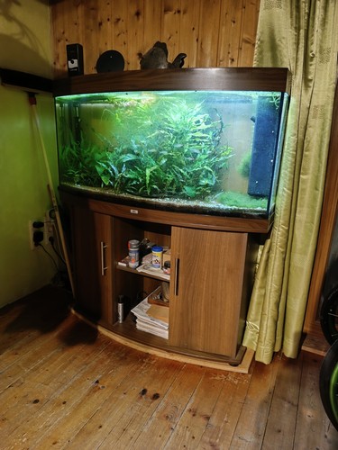 Juwel panorama aquarium - juwel, panorama-aquarium