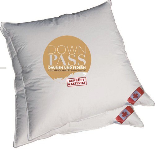 Angebot canada trio - angebot,
