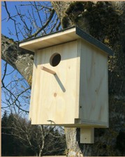 STARENNISTKASTEN Nistkasten