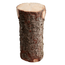 Holzstamm natur Holz mit Rinde