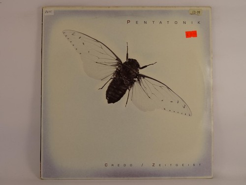 Pentatonik credo track - credo, 2