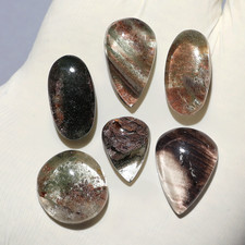 Secret Gardens ~ 6 Stück