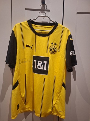 Karl heinz riedle signed bvb - riedle,
