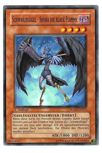 Schwarzflügel shura die - die, blaue