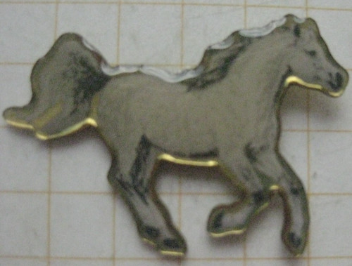 Perd schimmel reiten - /, /
