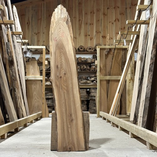 Ulme bohle brett waney - ulme,