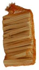 Anzündholz fichte brennholz - anzündholz,