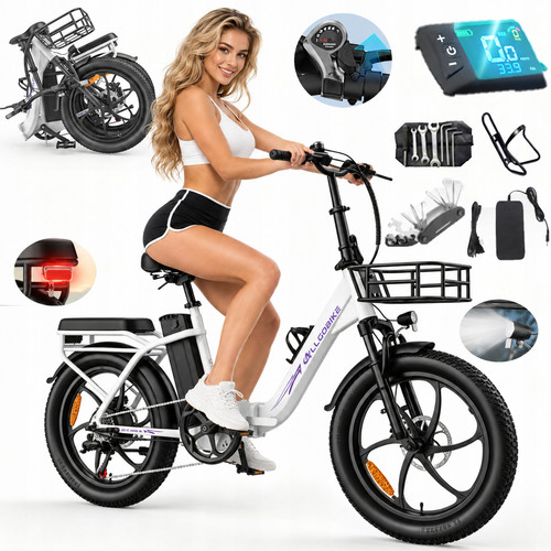 Zoll elektrofahrrad 48v - zoll,