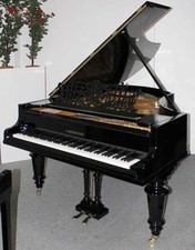 Flügel Bechstein schwarz poliert, 203 cm, neuwertig überholt, 5 Jahre Garantie