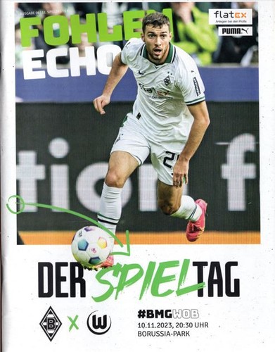 Fohlen echo borussia - fohlen, echo-borussia