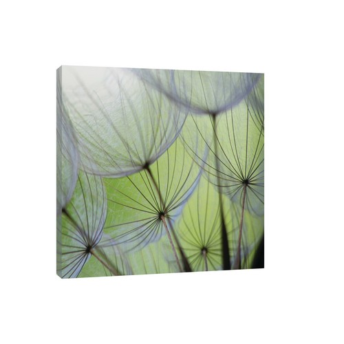 Canvas leinwand bilder xxl - canvas,