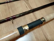 Angelrute Jahresrute 1992/1993