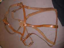hunde geschirr leder Neuwertig  für grosse hunde zuggeschirr Norwegergeschirr