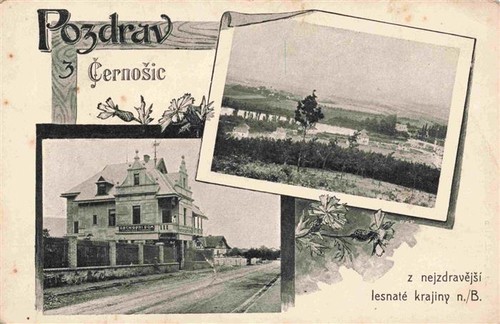 Cernosic cernosice cernositz - cernosic,