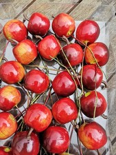 24 x Äpfel rot Attrappen