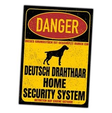Deutsch Drahthaar DD Dog