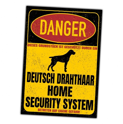 Deutsch drahthaar dog - drahthaar, dd