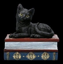 Schatulle - Katzen Figur auf magischen Büchern - Fantasy Schmuckkästchen Deko 
