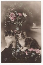 AK Katzen, 2 süße Katzen sitzen neben Blumenvase