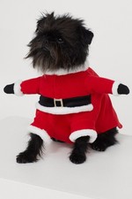 Neu ! Süßer Hunde Mantel H&M