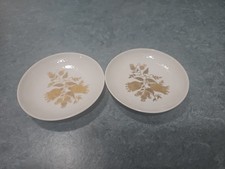 Jubiläum 100 Jahre Rosenthal