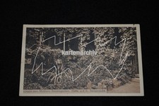 Möllers Rosengarten Halle