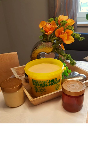 Bayrischer waldhonig 5 kg - waldhonig,