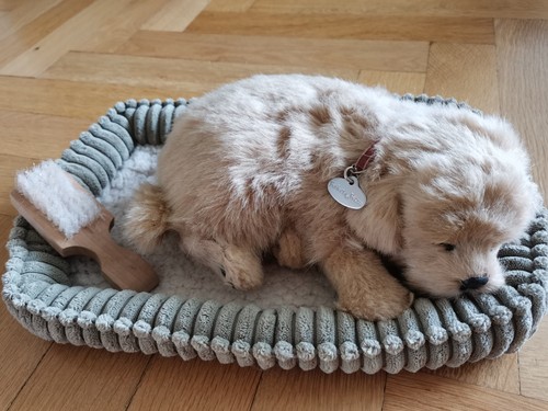 Perfect petzzz 96118 - petzzz, golden