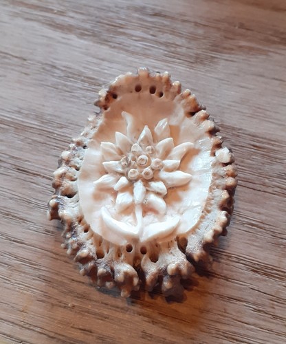 Hirschhornrose geschnitzt