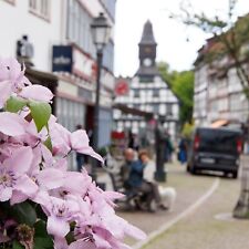 Uslar Weserbergland Wellness 3-5 Tage 2P @4* Romantisches Hotel Menzhausen uvm.